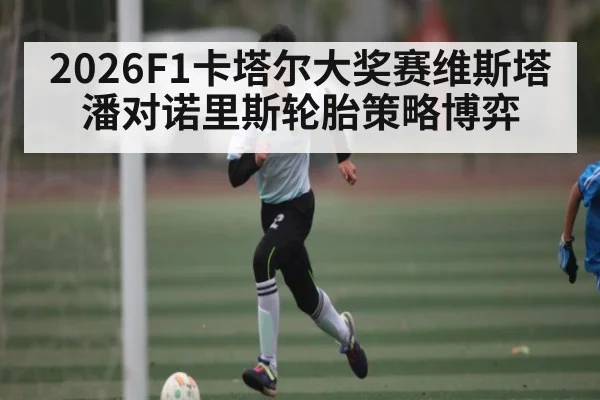 2026F1卡塔尔大奖赛维斯塔潘对诺里斯轮胎策略博弈